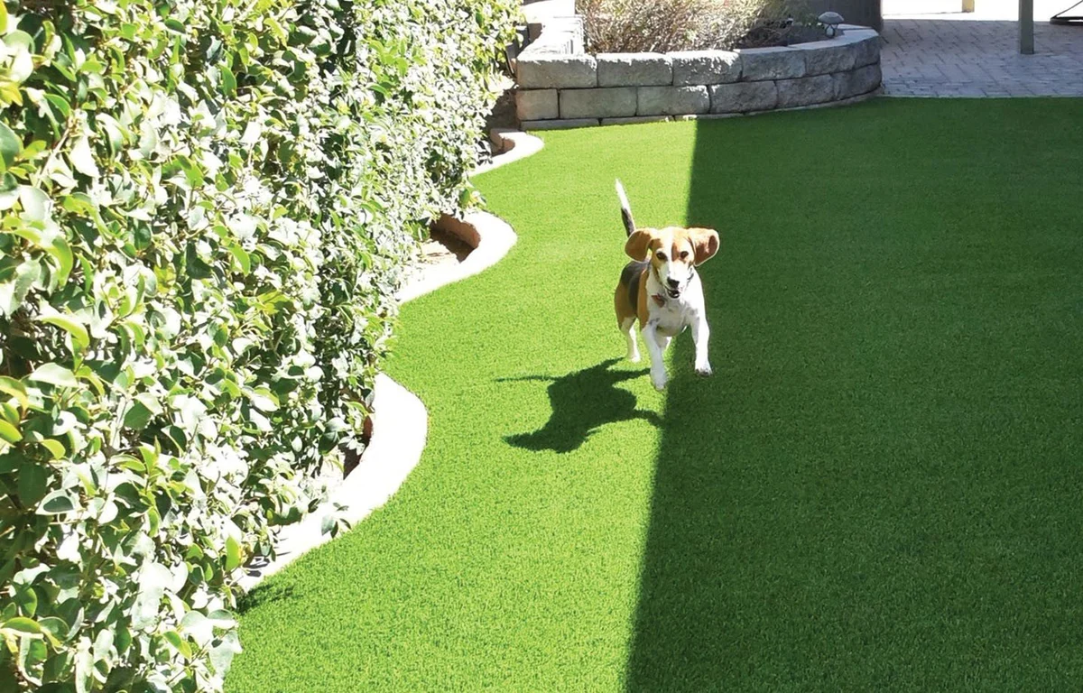 Drainage and Base Preparation in Deer Park, TX